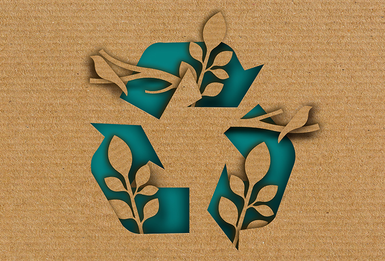 infodent collettiva 2023