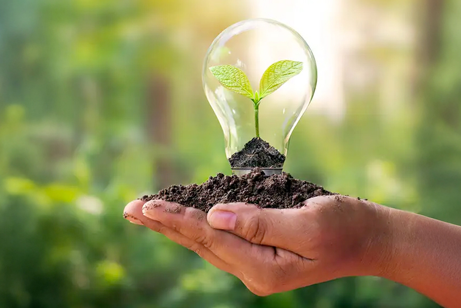 mano che sorregge una lampadina con dentro un germoglio