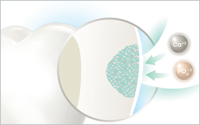 autoassemblamento peptidi