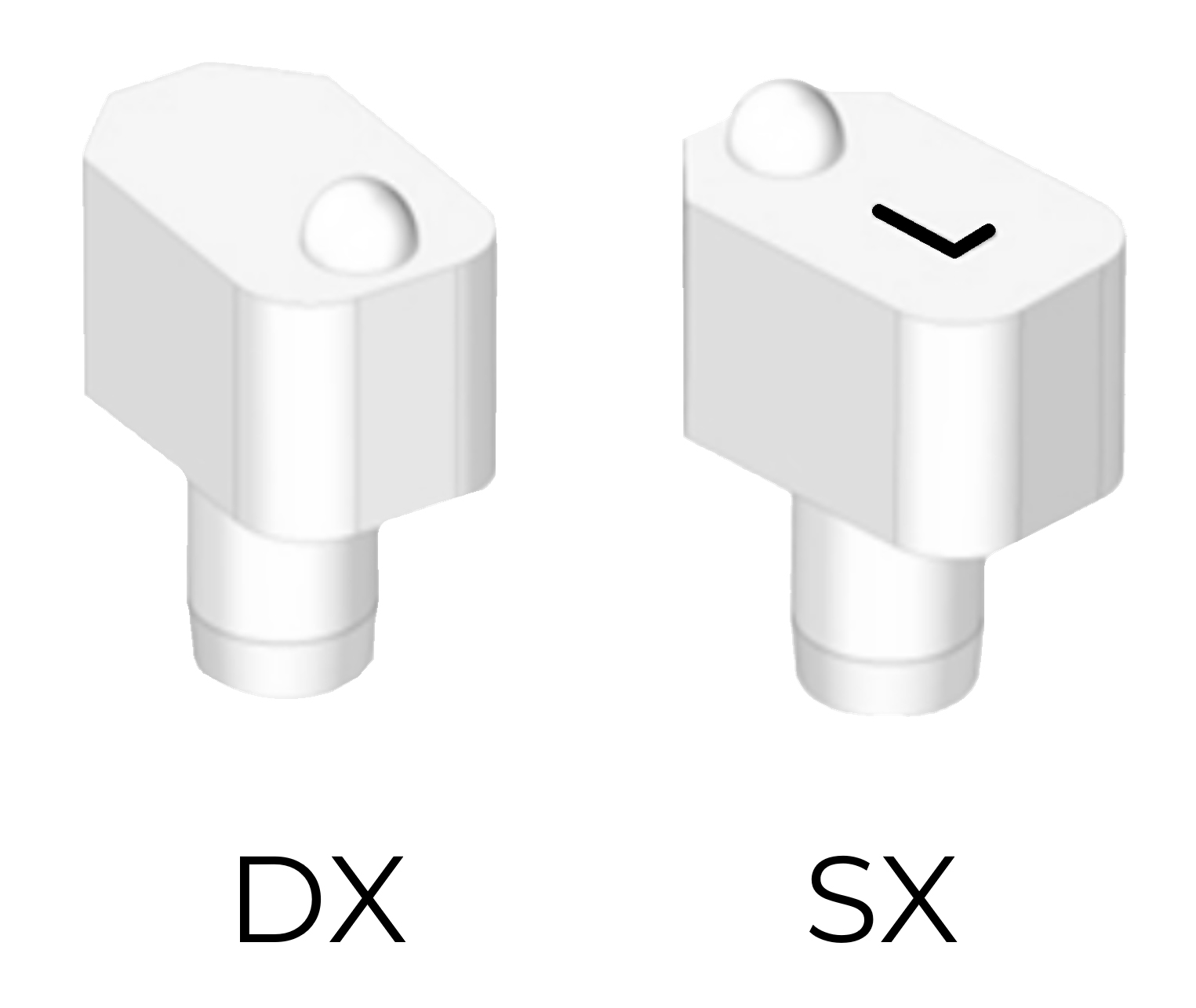 rendering 3D degli ScanSke