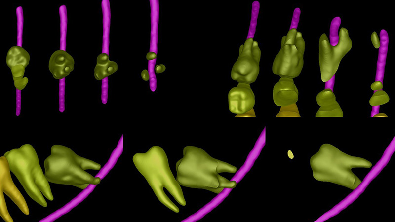 Segmentazione automatica dell'elemento 3.8 con funzione di taglio rapido