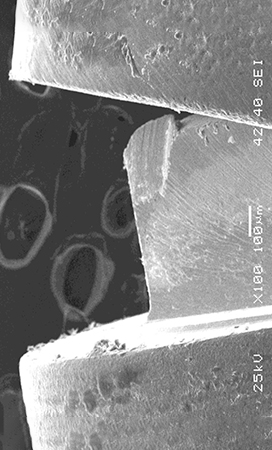 immagine inerente lo studio "Implant - Abutment Misfit after Cyclic Loading: an in vitro experimental study"