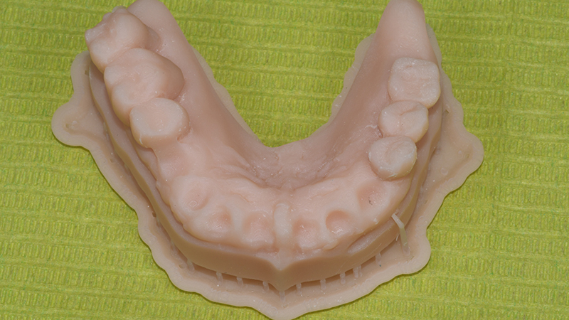 Modello digitale stampato