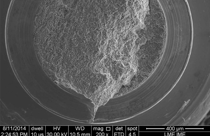 Immagine inerente lo studio "The morphology of collected dental implant prosthesis screws surface after six months to twenty years in chewing"
