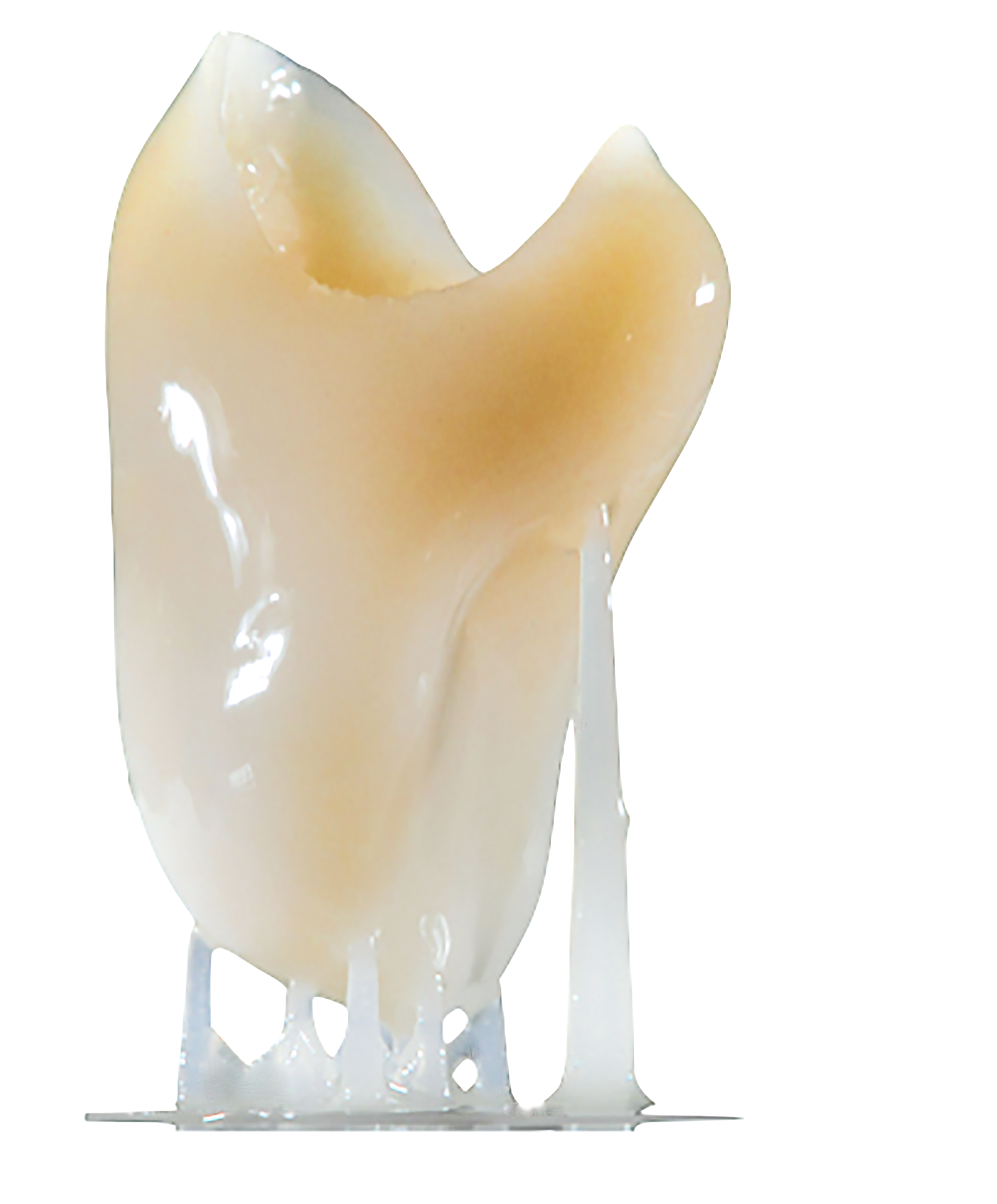 Esempio di stampa con D-Fab e resine Iris Max DWS (VI)