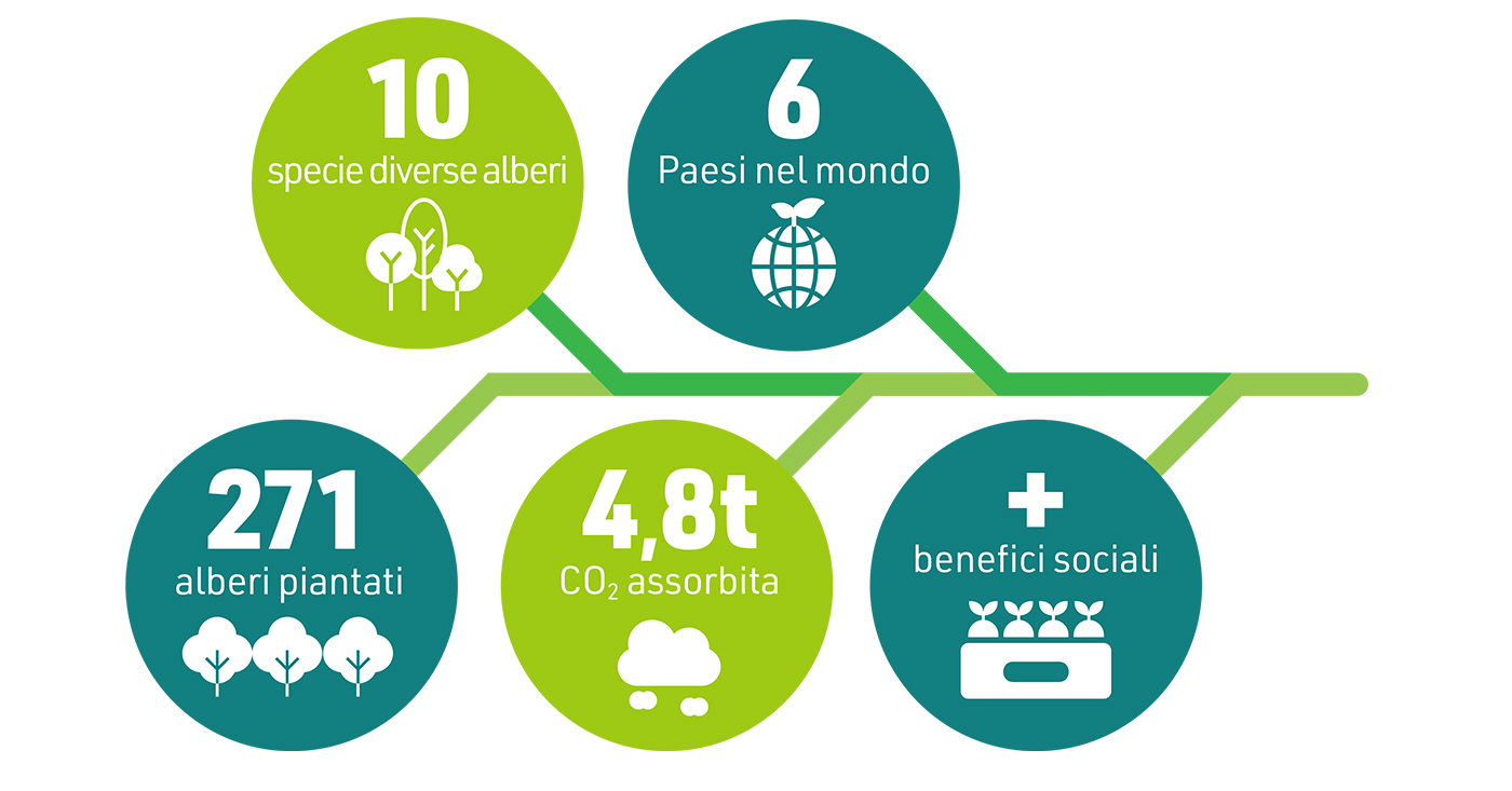 infografica alberi piantati