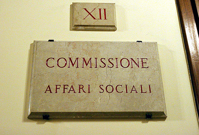 Commissione affari sociali