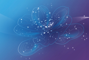 Visual Align Italian Summit 2025