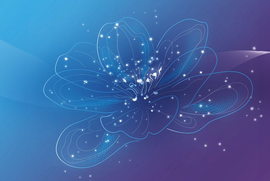 Visual Align Italian Summit 2025