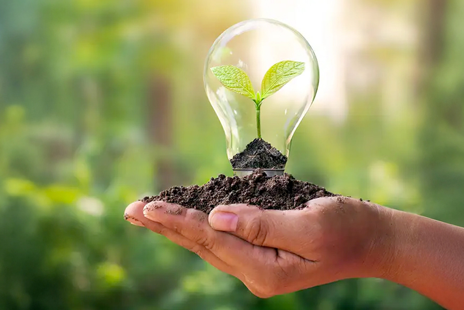 mano che sorregge una lampadina con dentro un germoglio